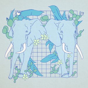 草莓香蕉橘子橙子视频在线观看
