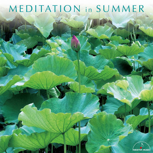 草莓香蕉橘子橙子视频在线观看
